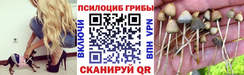 Псилоцибиновые грибы прущие грибы  цены   Голицыно 